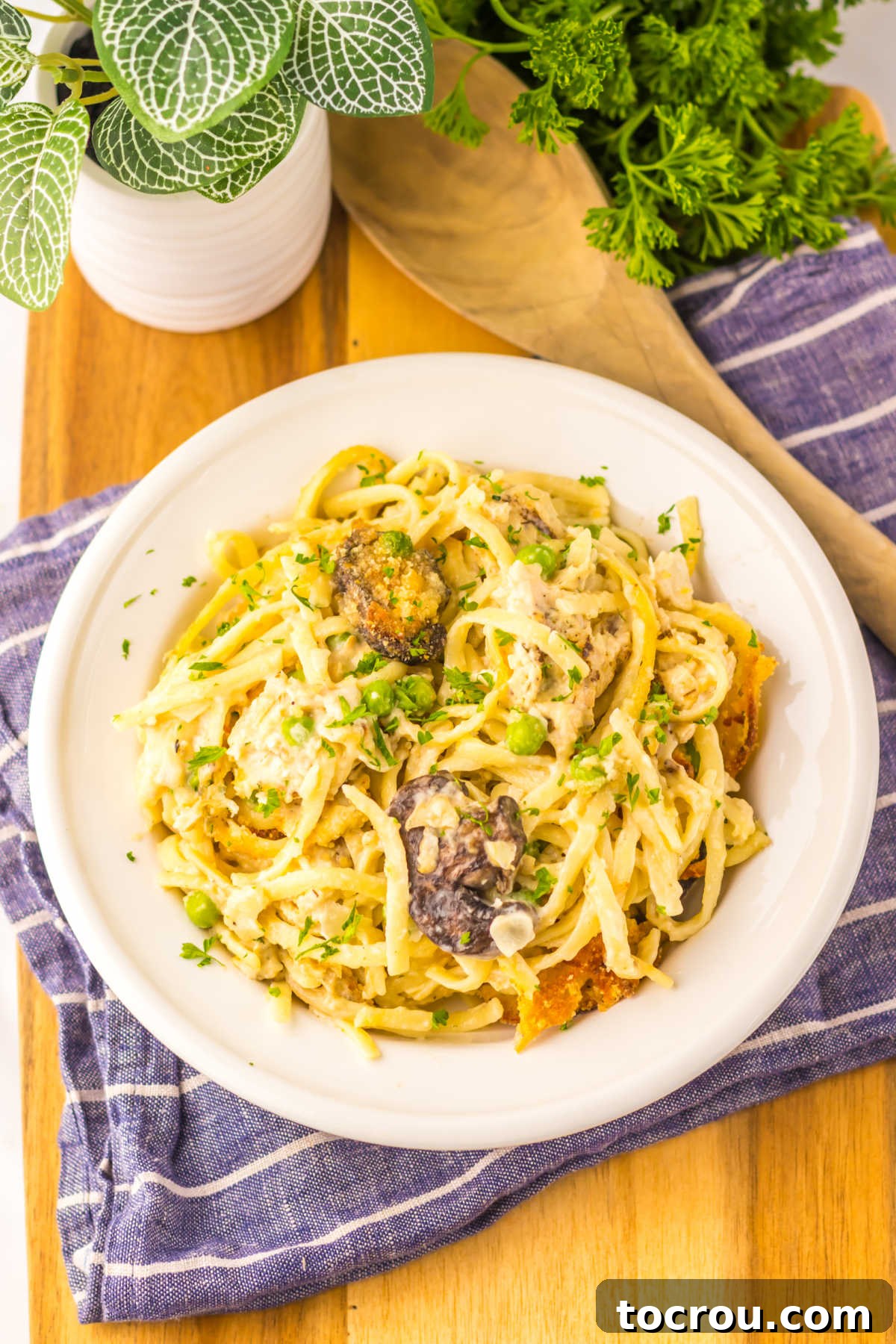 Plate of turkey tetrazzini with creamy parmesan sauce and mushrooms and peas, ready to eat.