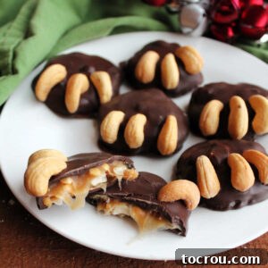A close-up view of a plate featuring several bear paw candies, with one candy meticulously cut open to display its rich caramel and cashew center, elegantly coated in chocolate and topped with decorative cashew bear claws.