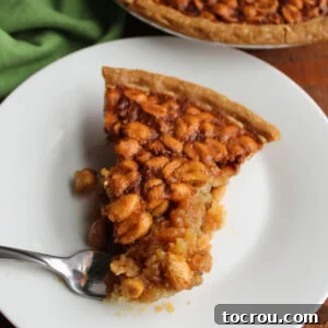 Close up of a slice of peanut pie with crunchy roasted peanuts in a gooey brown sugar filling.