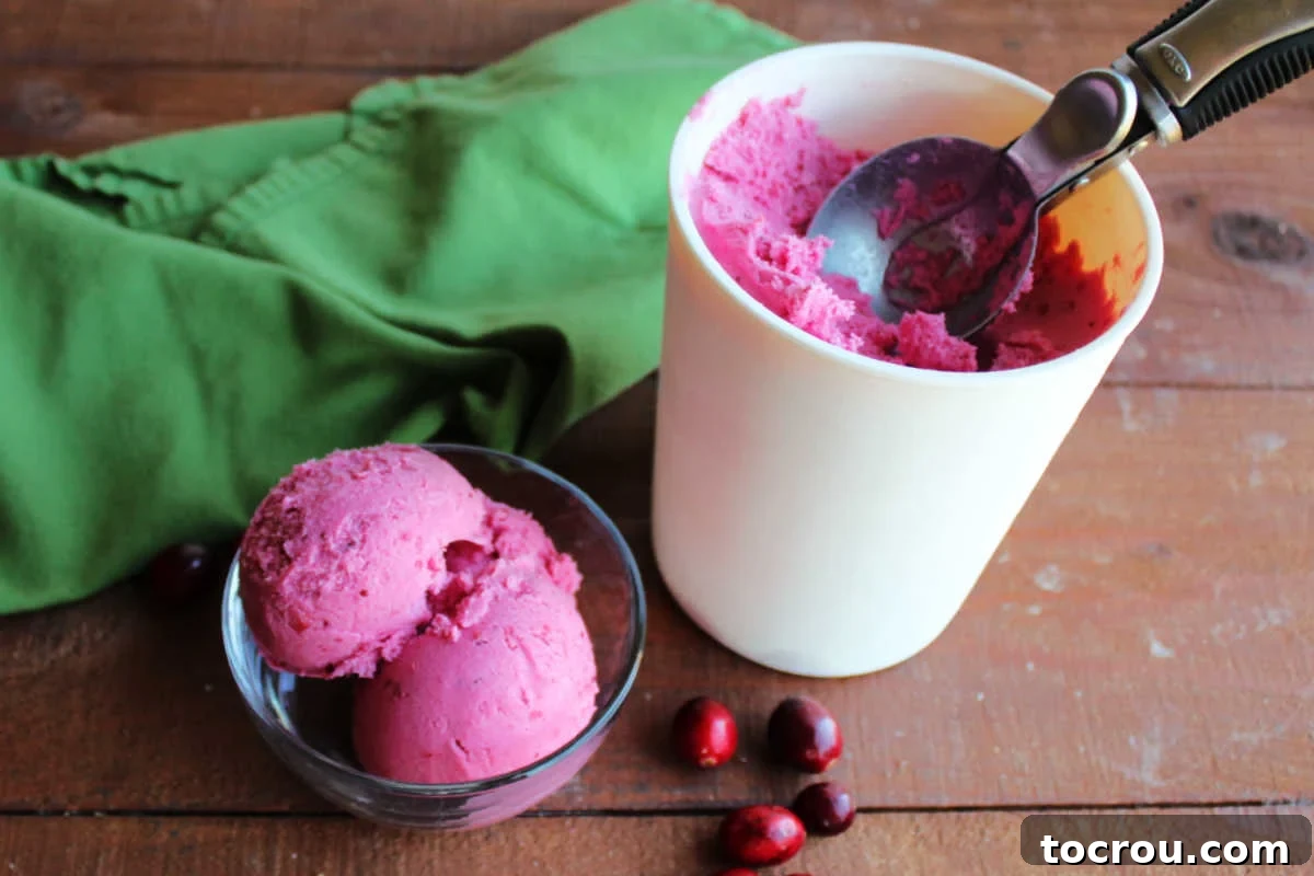 Crimson Cranberry Chill 2 Small bowl of homemade cranberry ice cream next to some fresh cranberries and a storage container with more cranberry ice cream.