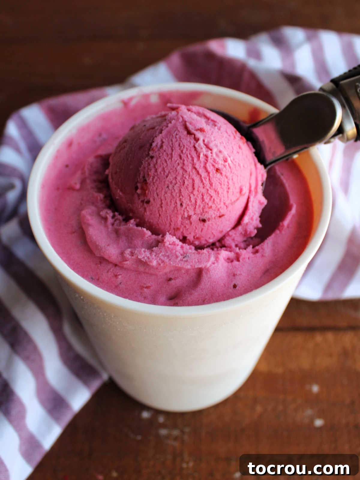 Crimson Cranberry Chill 6 Ice cream scoop getting a ball of frozen homemade cranberry ice cream.