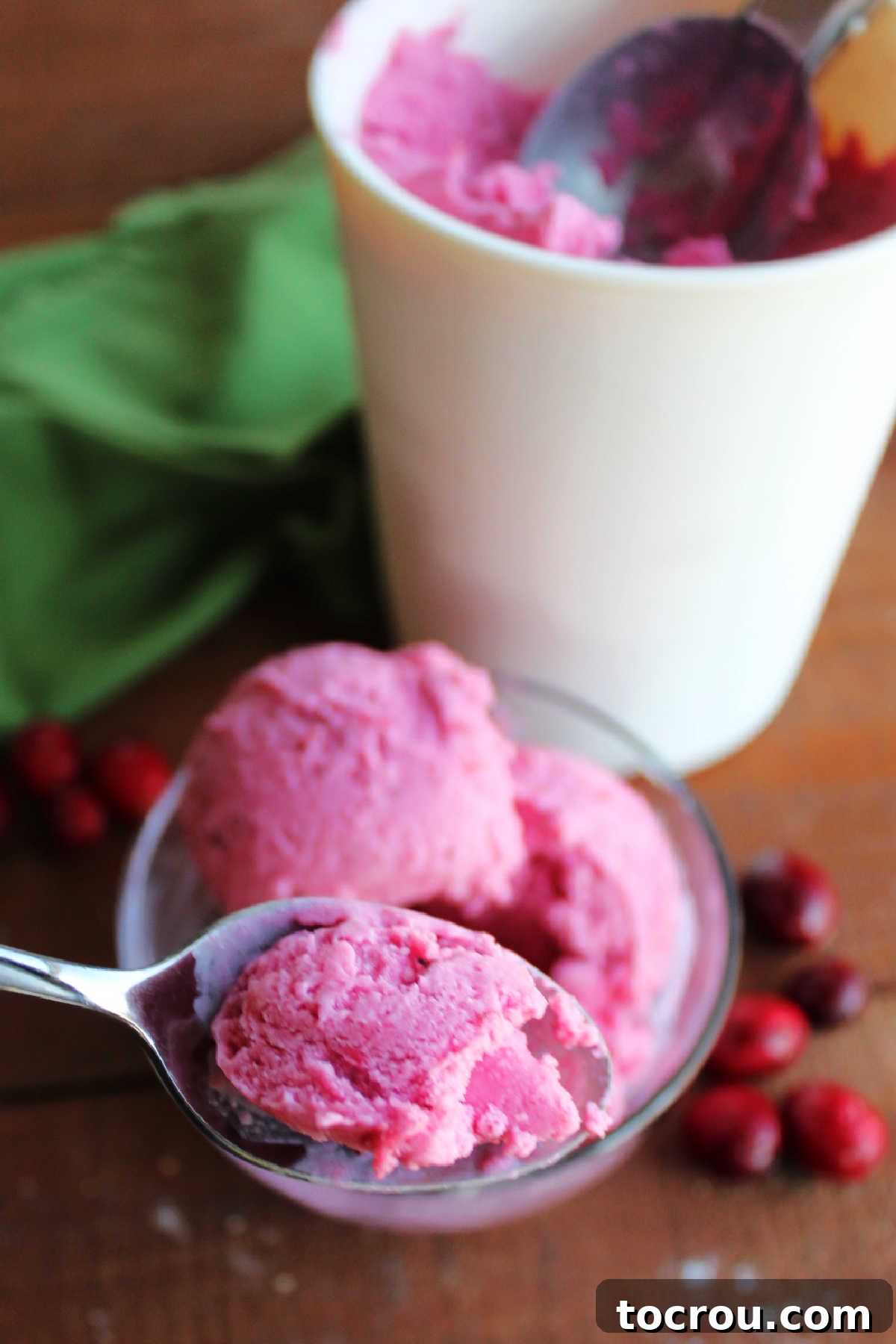 Crimson Cranberry Chill 8 Bite of creamy homemade cranberry ice cream on spoon, ready to eat.