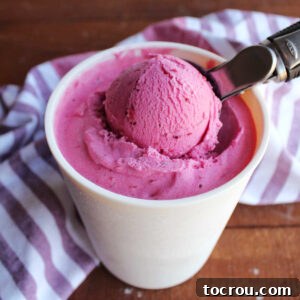 Ice cream scoop dipping out a scoop of homemade cranberry ice cream with a deep pinkish purple color and creamy texture.