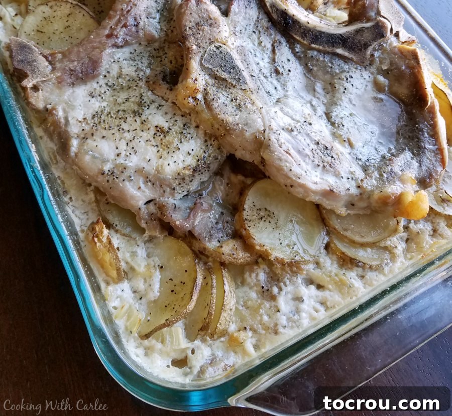 A close-up of the corner of a casserole dish, revealing golden-brown scalloped potatoes and a tender pork chop, cooked to perfection and ready to be served.