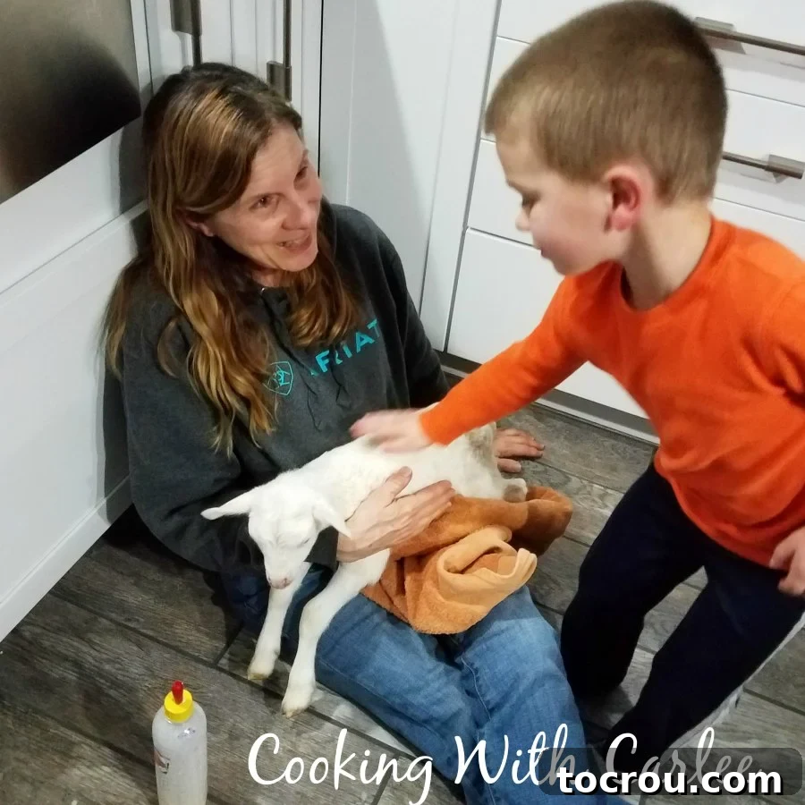 Little Dude and MiMi affectionately petting Mary the lamb on the farm, showcasing the inspiration behind the lamb cupcake cake.