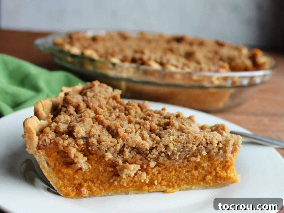 Spiced Carrot Pie with Crunchy Cinnamon Streusel 2 Slice of carrot pie with smooth orange filling topped with buttery crumble topping, ready to eat.