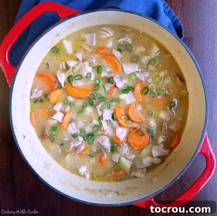 Pot filled with easy chicken stew loaded with chunks of carrots and potatoes, ready to serve.