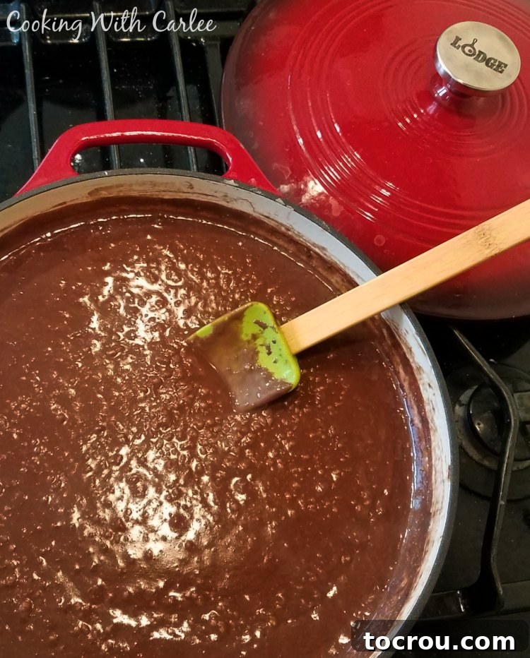 red dutch oven filled with chocolate steel cut oats.