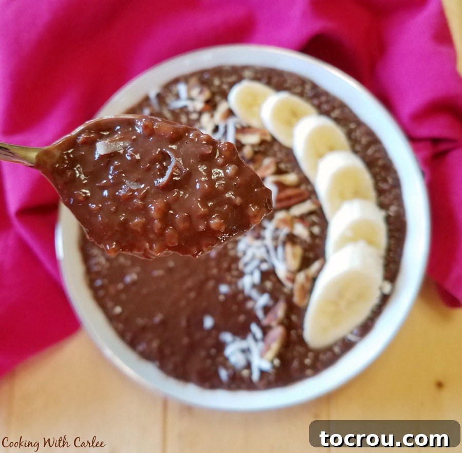 Close up of spoon filled with chocolate banana steel cut oatmeal.