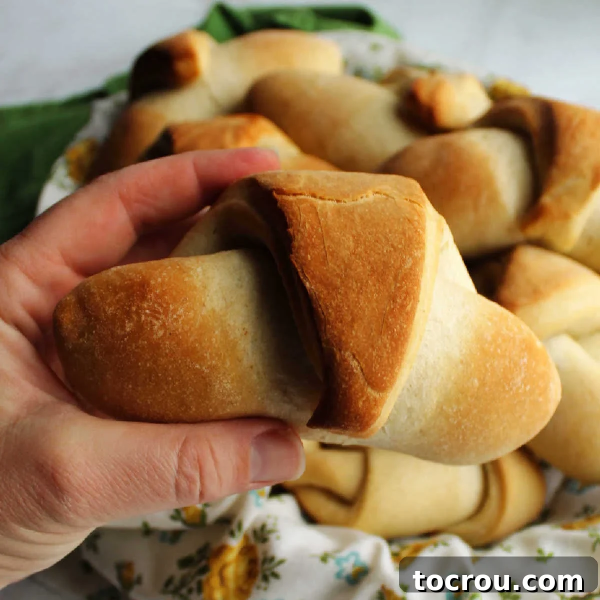 Hand holding a golden brown sourdough crescent roll, highlighting its perfect crust and inviting texture.