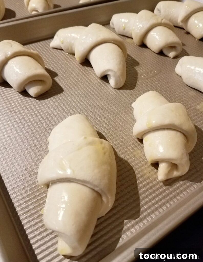 Proofed sourdough crescent rolls, lightly brushed with butter and perfectly risen, awaiting their bake in the oven.