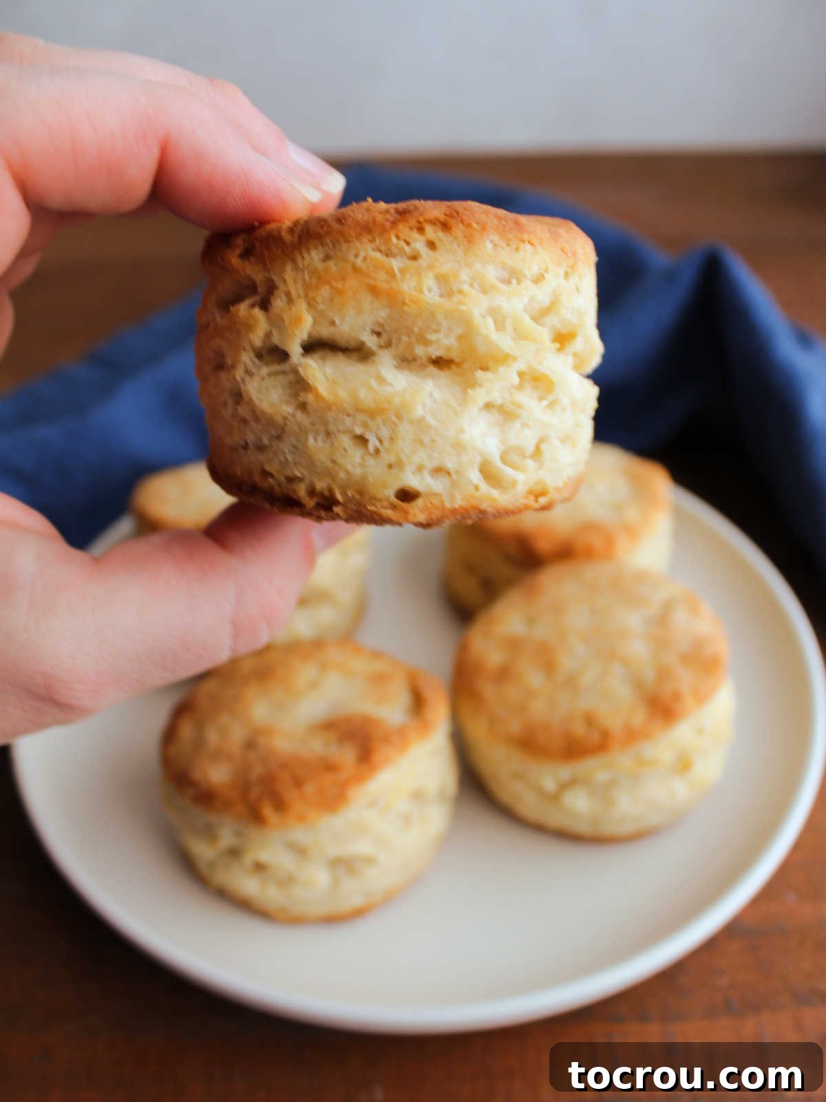 Hand holding a freshly baked buttermilk biscuit. Showing off the perfect rise and golden crust.