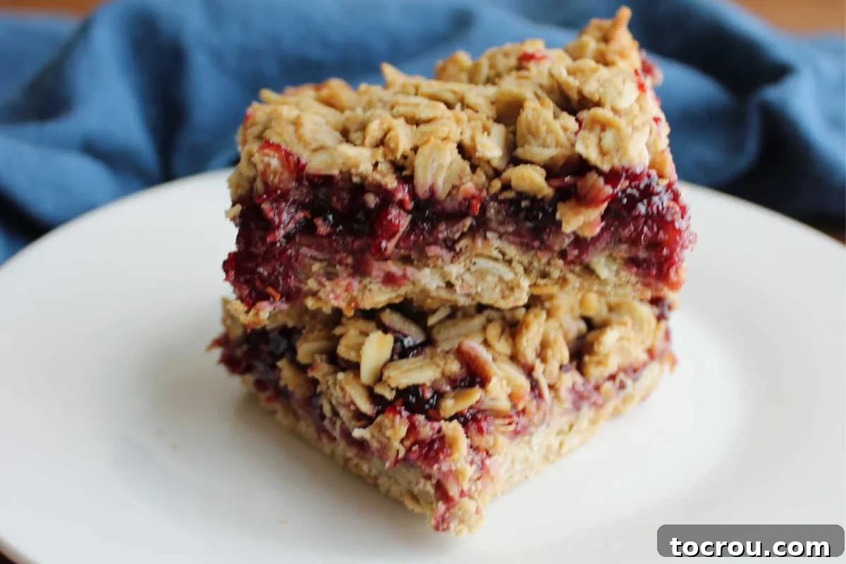 Two homemade sourdough breakfast bars with a golden oat and whole wheat crust, generously filled with vibrant raspberry jam, perfectly sliced and ready to enjoy.
