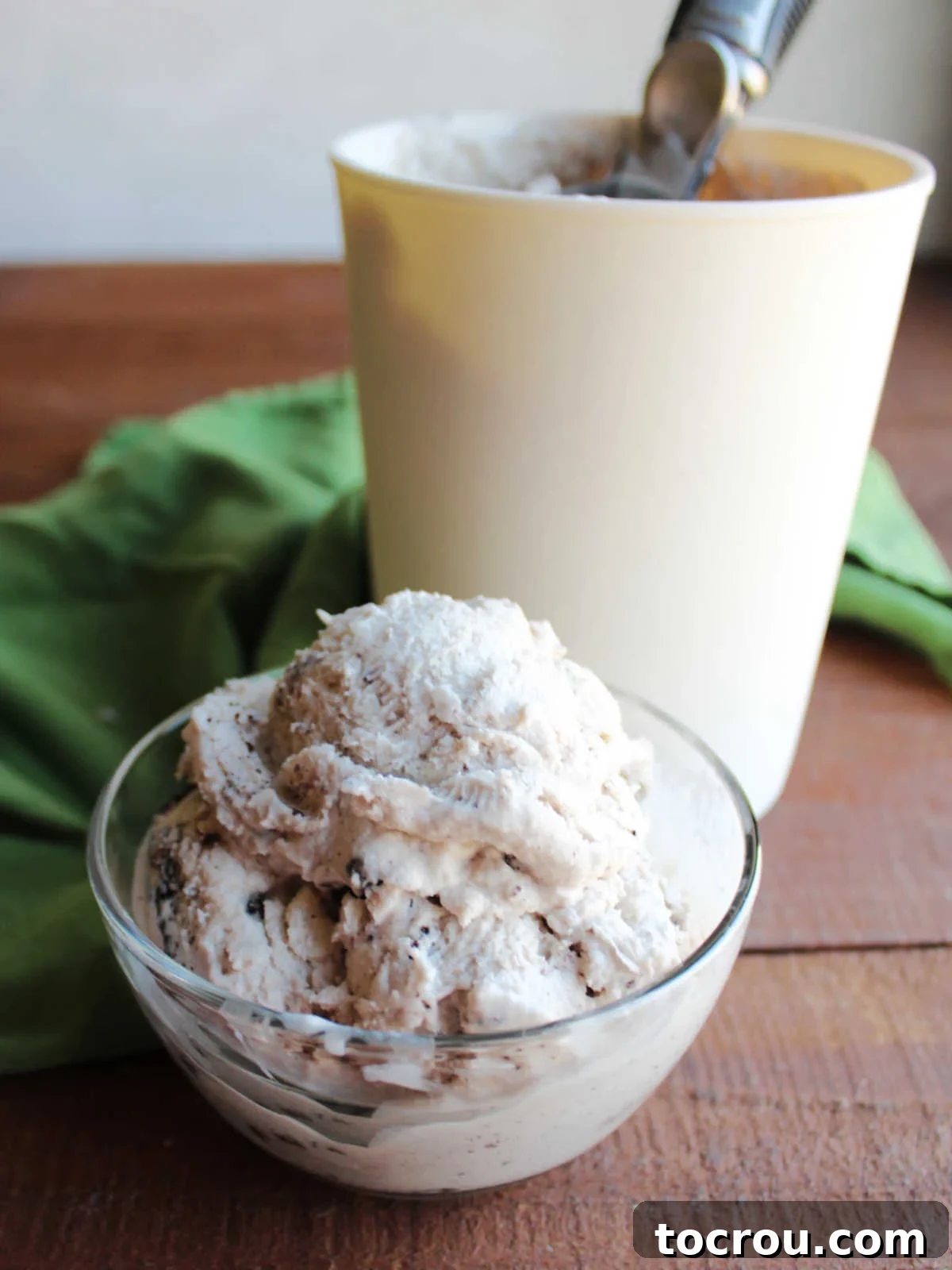 Vanilla Bean Dream with Chocolate Swirls 5 Scoops of egg free cookies and cream ice cream in small glass bowl next to storage container with more ice cream and the scoop inside.