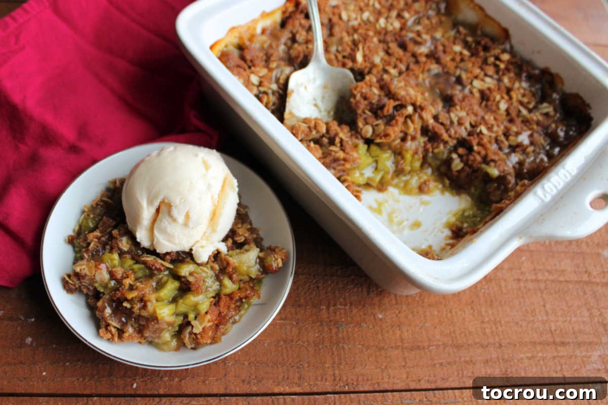 Bowl of rhubarb crisp with oat topping and ice cream next to square baking dish with the rest of the crisp inside. 