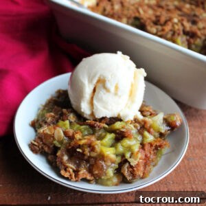 Small bowl of rhubarb crisp with brown sugar oat crust topped with ice cream, ready to eat.