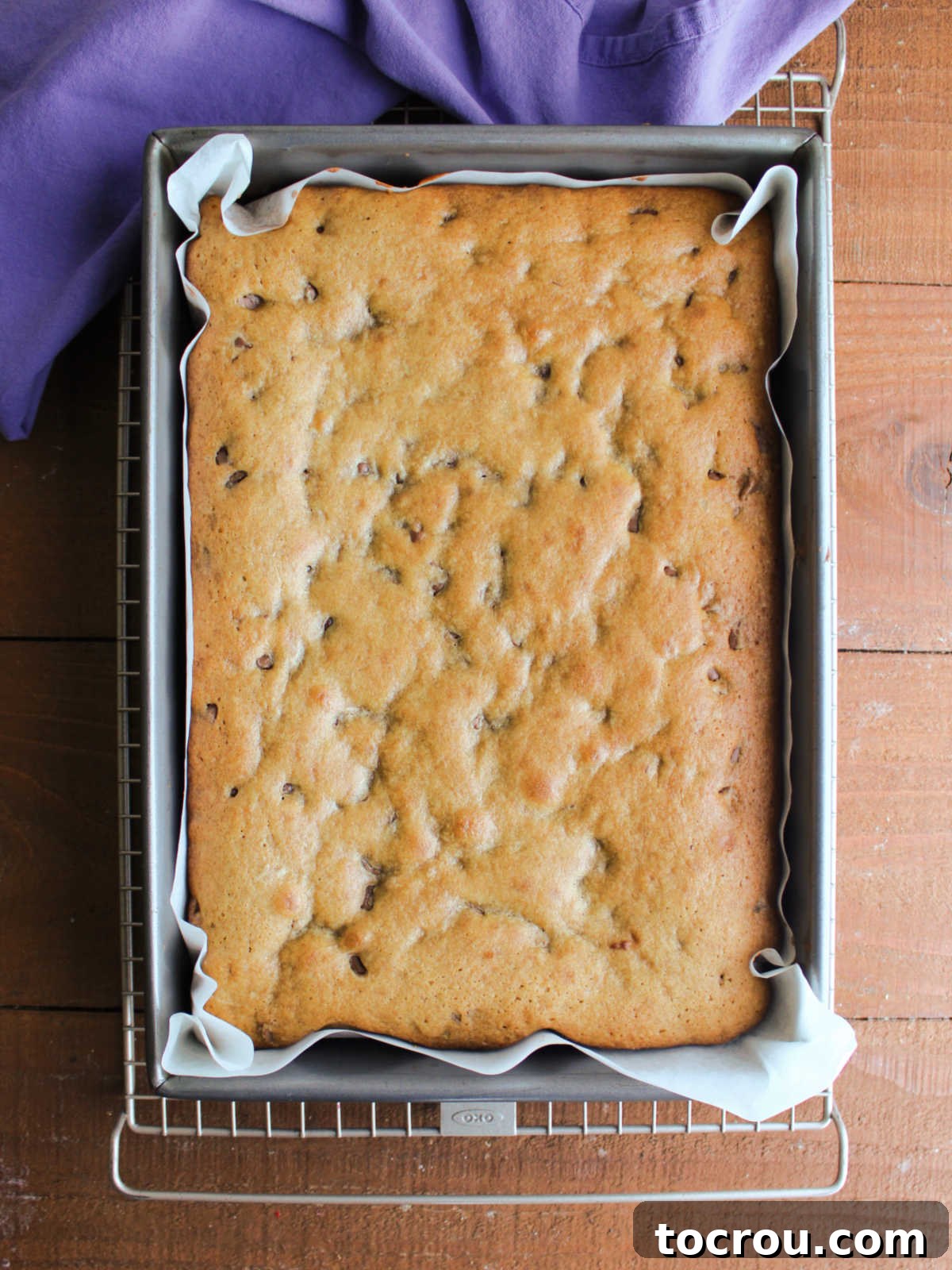 Freshly baked sourdough chocolate chip cookie bars, showing their inviting puffed appearance and perfect golden-brown color, straight from the oven.