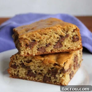 Two sourdough chocolate chip cookie bars stacked, showcasing their chewy texture, rich brown sugar color, and perfectly melted chocolate chips.