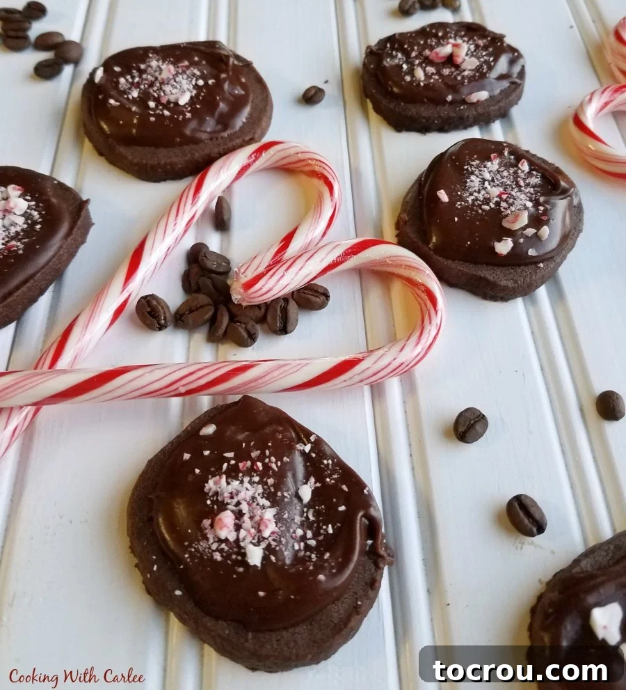 Chocolate mocha shortbread cookies topped with chocolate icing and crushed candy canes, ready for holiday festivities.