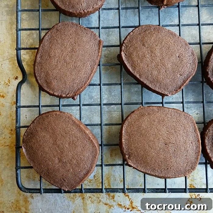 Chocolate mocha shortbread cookies cooling on a wire rack after baking.