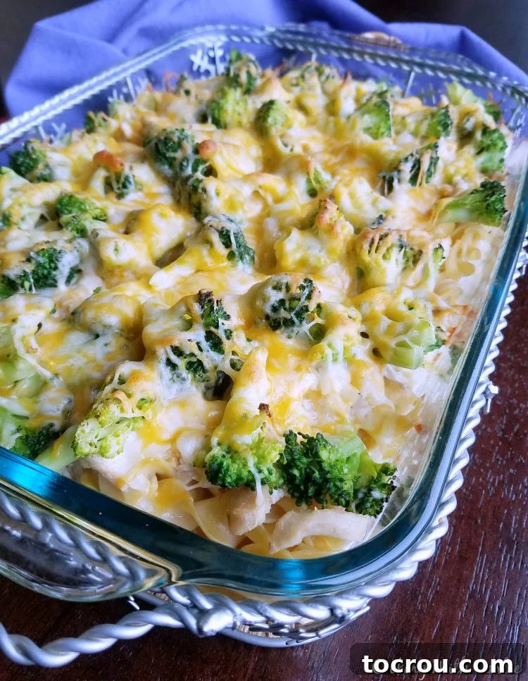 A bubbling casserole dish filled with pasta, chicken, and broccoli, beautifully topped with melted, golden-brown cheese, ready to be served.
