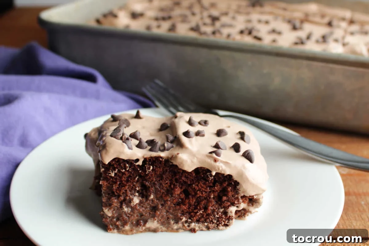 Triple-Milk Chocolate Dream 2 Piece of chocolate tres leches cake with chocolate cake soaked in chocolate milk mixture topped with chocolate whipped cream and mini chocolate chips.