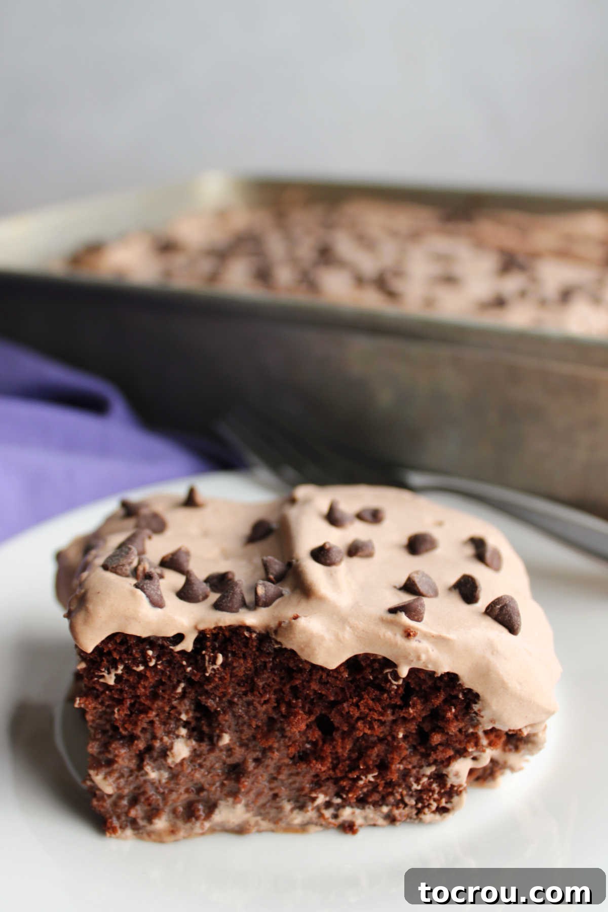 Triple-Milk Chocolate Dream 6 Served chocolate tres leches cake with chocolate cake soaked in chocolate three milks mixture topped with chocolate whipped cream and mini chocolate chips.