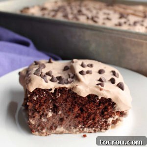 Piece of chocolate tres leches cake with chocolate cake soaked in chocolate milk mixture topped with chocolate whipped cream and mini chocolate chips.