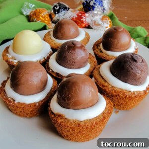 Plate of s'mores cookie cups with graham cookies topped with marshmallow fluff and chocolate truffles.