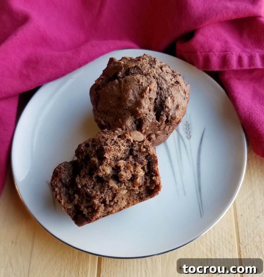 Chocolate peanut butter sourdough muffin torn in half, revealing its soft, moist interior, chunky oats, and melted peanut butter chips.