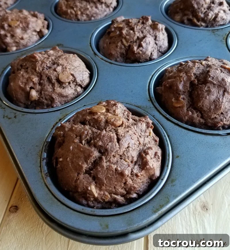 Freshly baked chocolate sourdough muffins with visible peanut butter chips, golden brown and ready to be cooled in a muffin pan.