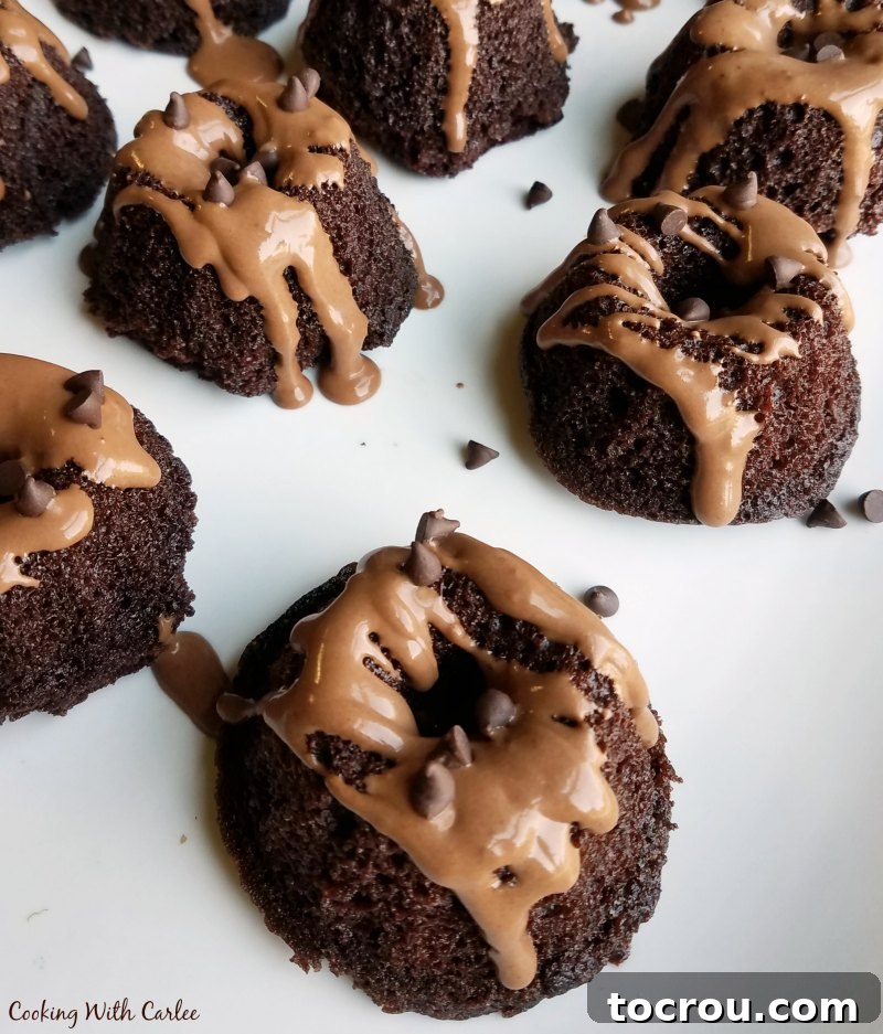 A beautiful platter showcasing mini chocolate bundt cakes, each generously drizzled with chocolate glaze and adorned with mini chocolate chips.