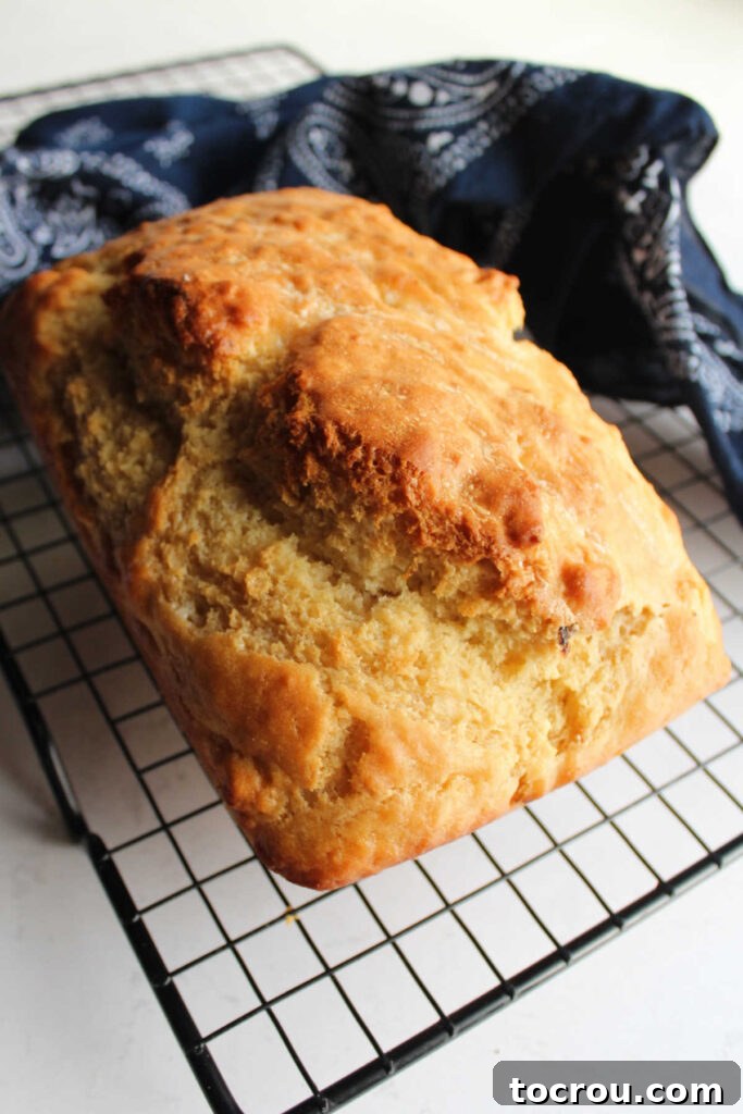 Doris Tangy Cider Loaf 3 Loaf of beer bread cooling on wire rack.