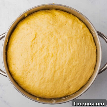 Bowl of poofy proofed dough that is slightly yellow from the egg yolks, ready to be formed into sweet rolls.