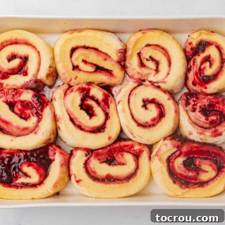 Raw blackberry rolls after they have risen slightly in the baking pan.