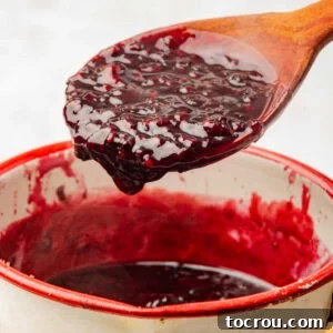 A close-up of the rich, thick blackberry compote in a spoon, ready to be enjoyed.