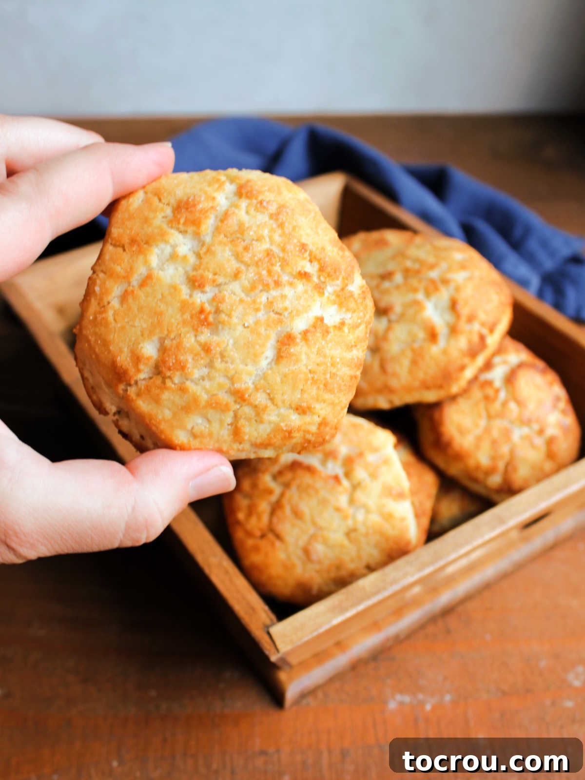 Perfectly Sweet Shortcake Biscuits 3 Hand holding a freshly baked sweet biscuit showing the golden brown top with little sugar granules on it, ready to be served.