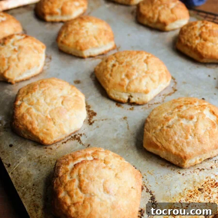 Perfectly Sweet Shortcake Biscuits 9 Golden brown sweet biscuits in baking pan.