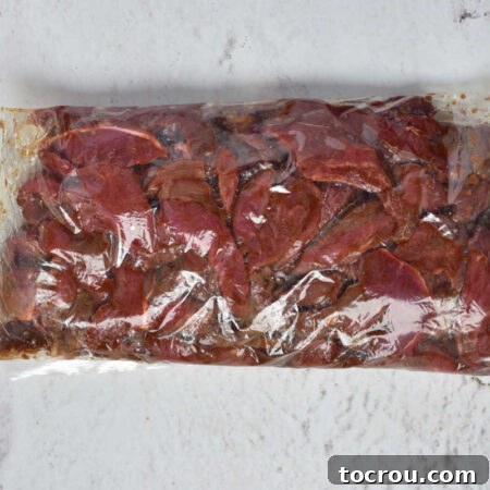 Bag of venison strips in stir fry marinade.