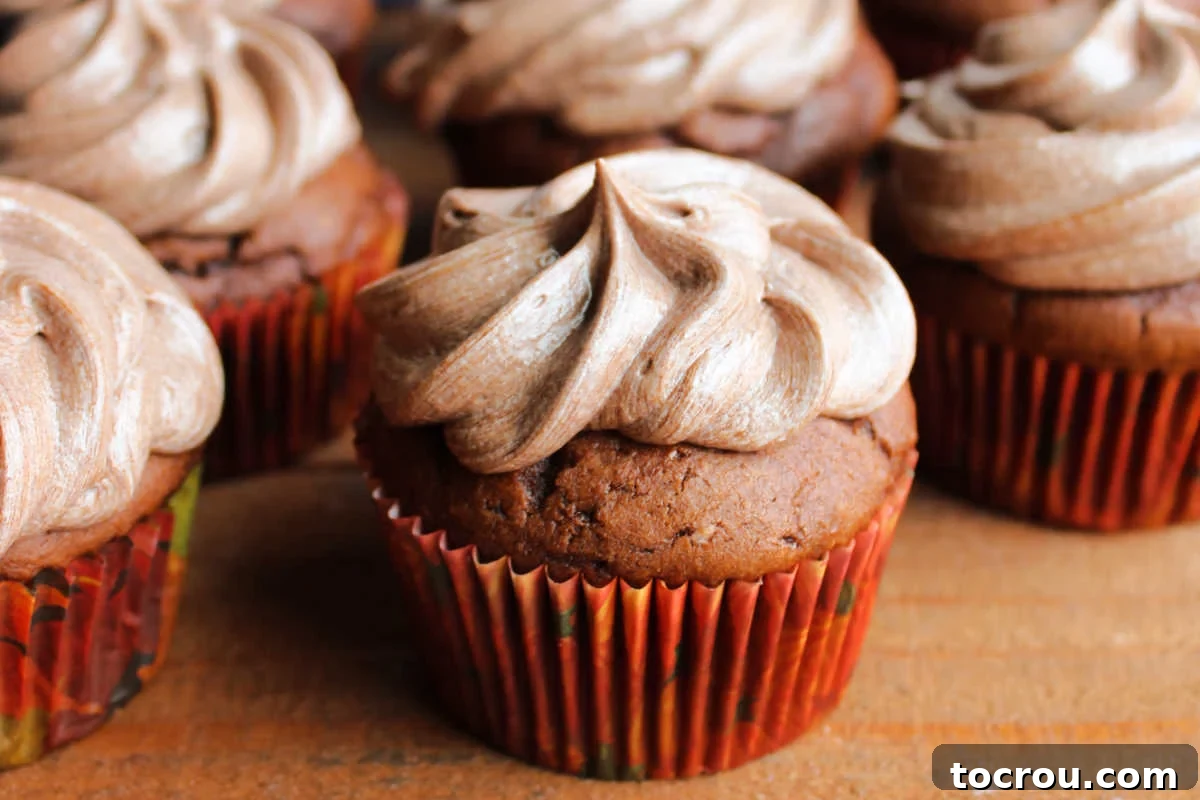 Close up of chocolate cupcakes topped with fluffy mousse-like chocolate ermine frosting, adorned with chocolate shavings.