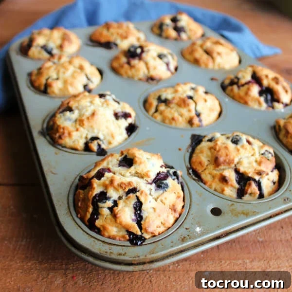 Pan of freshly baked blueberry sourdough muffins with golden brown exterior and nicely formed crowns. 