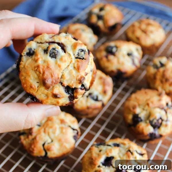 hand holding a freshly baked sourdough blueberry muffin with remaining muffins on wire cooling rack in the background. 
