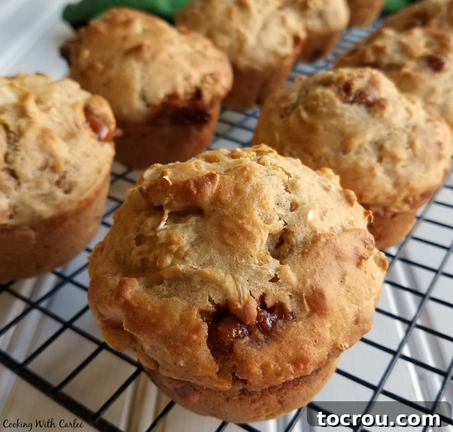 These muffins are bursting with apple flavor! They bring a healthy punch of oatmeal, sourdough, whole wheat flour and yogurt as well. Start your day off deliciously! A batch of freshly baked caramel apple sourdough muffins arranged neatly on a wire cooling rack, emanating warmth and delicious aroma.