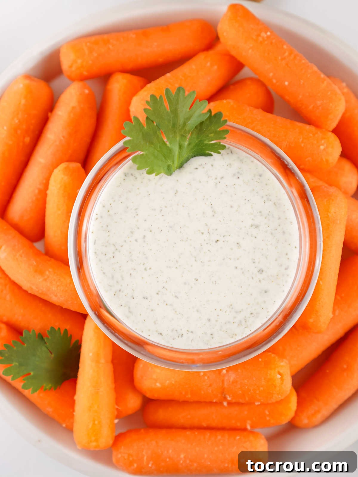 Bowl of homemade ranch dip surrounded by baby carrots. 