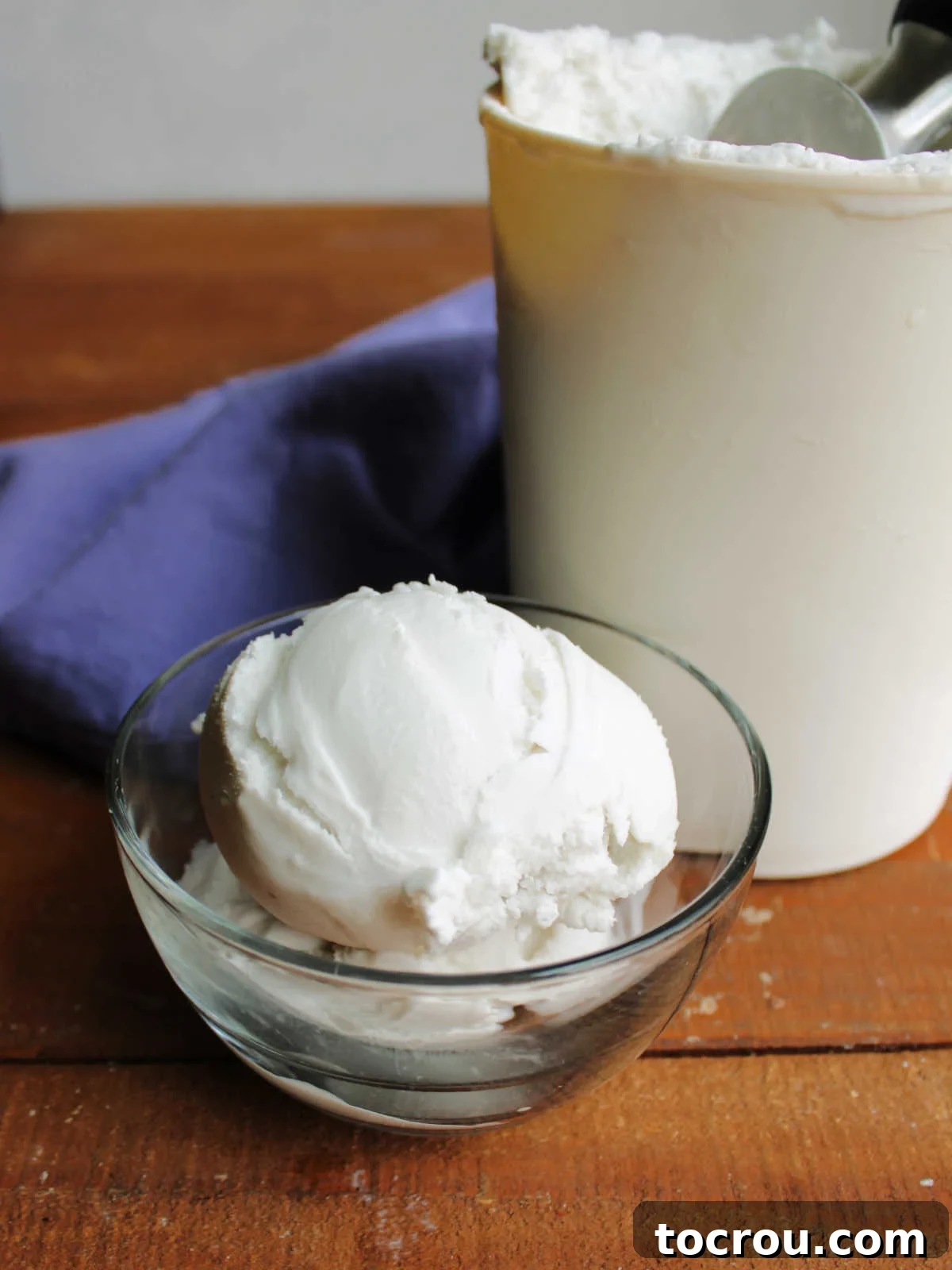 Serving of vegan coconut ice cream in small bowl by the storage container with more ice cream inside.