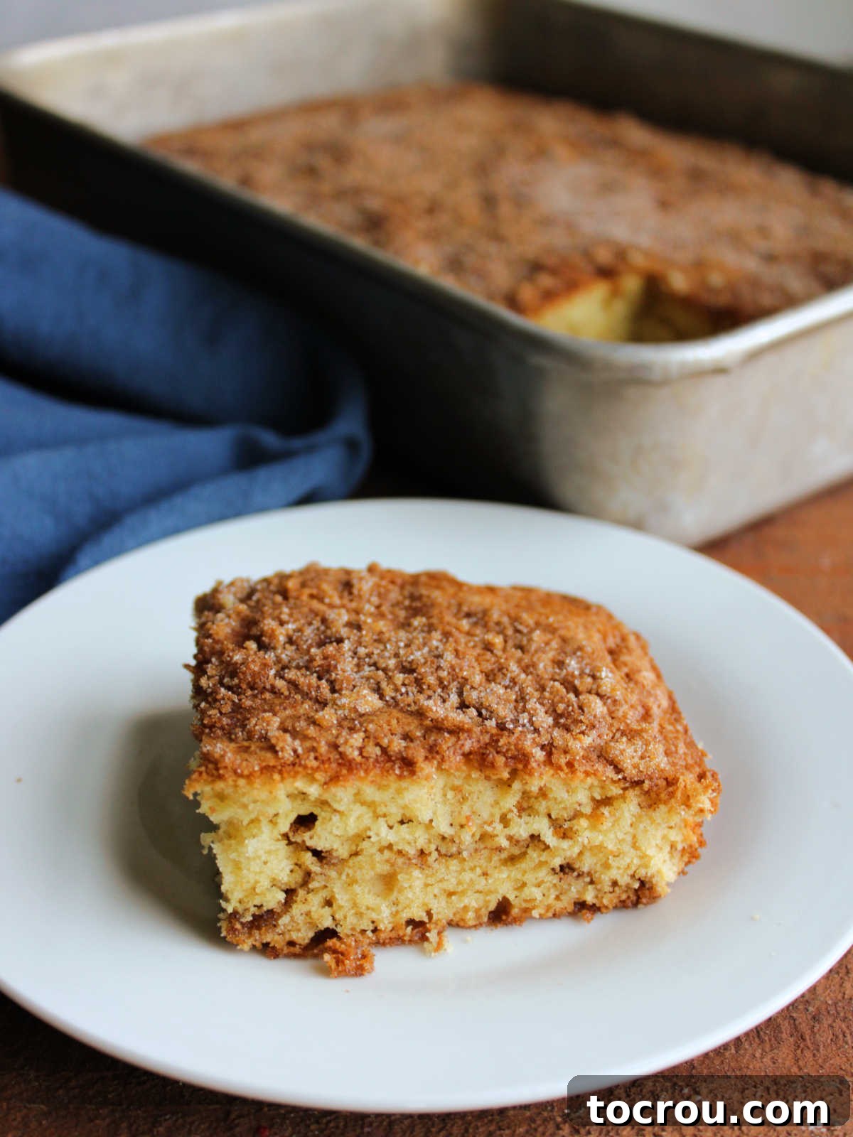 Close-up of Coffee Cake Slice Piece of sour cream coffee cake with cinnamon ribbon in the middle and cinnamon sugar on top, ready to eat.