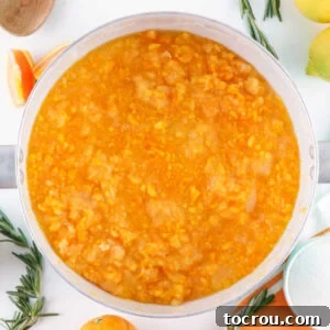 Little bits of orange mixed with sugar, water, and lemon in a pot to be made into marmalade.