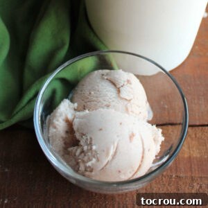 A small glass bowl containing a couple of scoops of homemade apple butter ice cream, notable for its creamy texture, light tan color, and visible flecks of cinnamon.