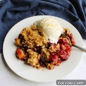 A dessert plate generously filled with Cranberry Apple Crisp, topped with a golden oat topping and a beautifully melting scoop of vanilla ice cream.