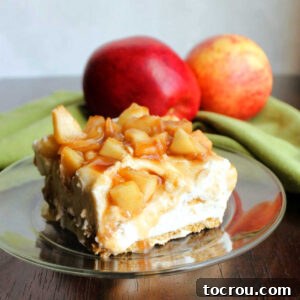 A close-up slice of a no-bake icebox cake, revealing distinct layers of graham crackers, fluffy cream cheese filling, and cinnamon-spiced caramelized apples, with fresh apples blurred in the background.